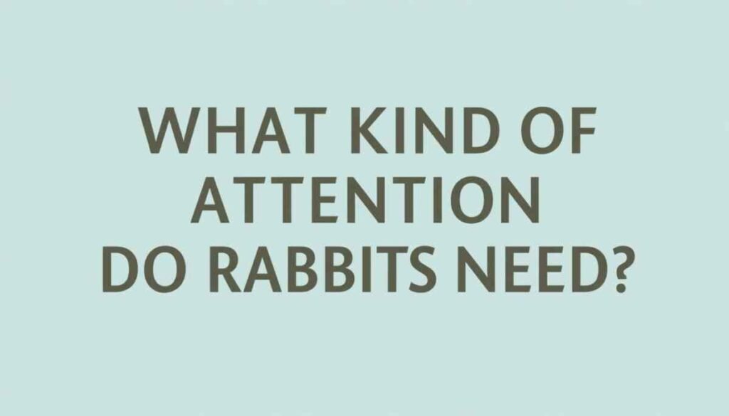 Rabbit receiving gentle attention and interaction from owner at home